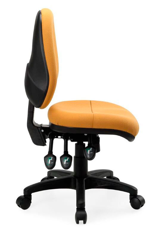 prolounger chair